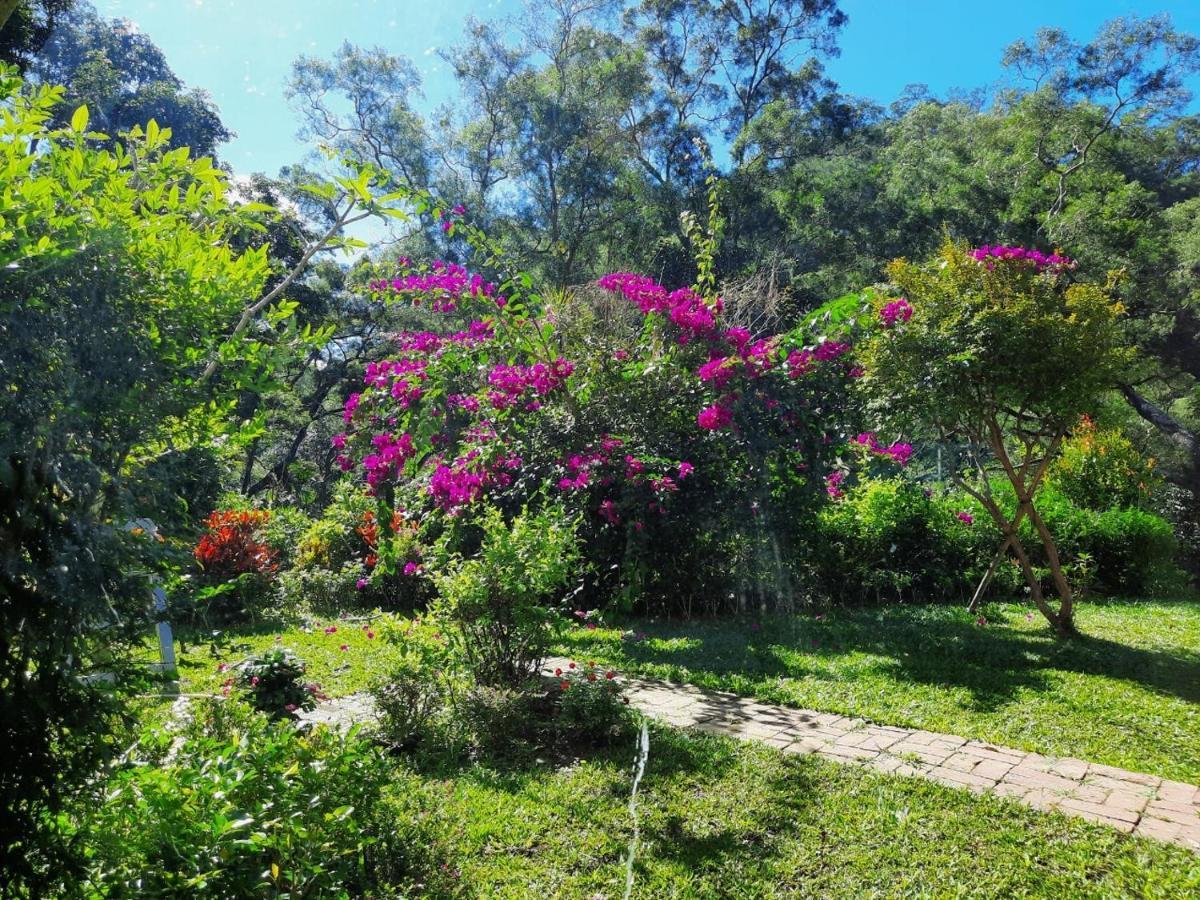 Siang Tsao Yu Chong Guest House Sanyi Luaran gambar